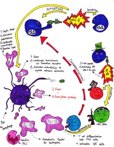 Immunology Cartoon 2